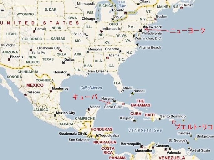 サルサ(salsa map)マップ